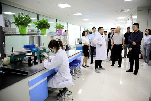 臨澤縣人民政府 知國情 話自信 海歸系列懇談會成員在臨澤縣考察